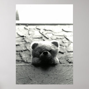 Póster Peluche del peekaboo
