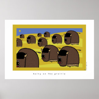Póster peludo en la pradera