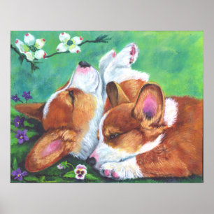 Póster Pembroke Welsh Corgi Poster IMINT