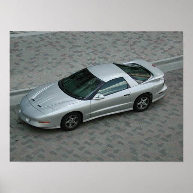 Póster Pendropóreo Trans Am (Frente)