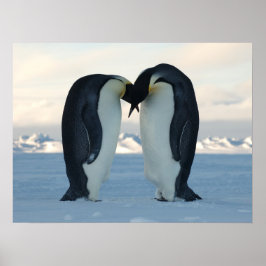 Póster Penguin Arctic Birday Shower Fiesta destino de amo