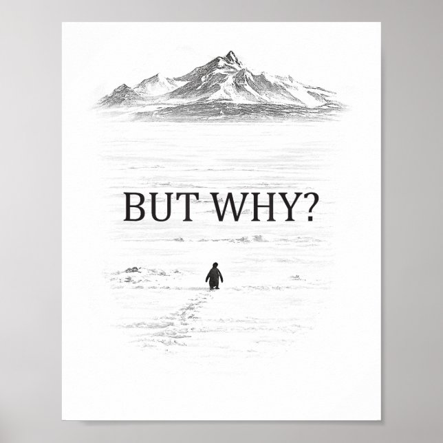 Póster Penguin But Why Mountains  (Frente)