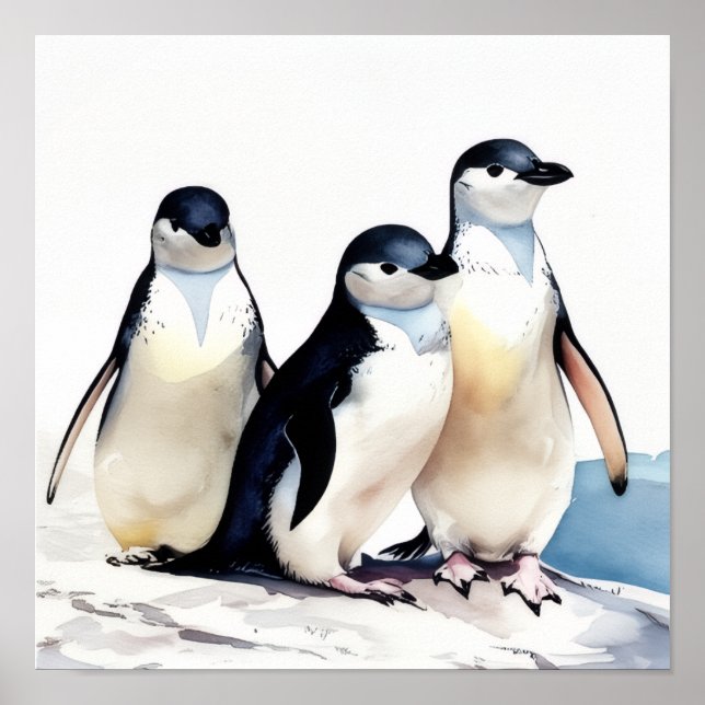 Póster Penguin Trio (Frente)
