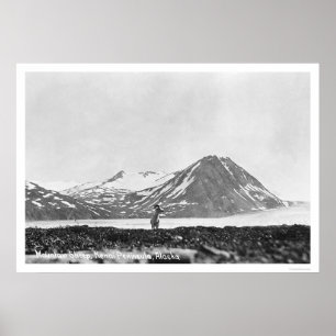 Póster Península Alaska 1912 de Kenai de las ovejas