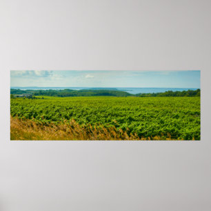 Póster Península de Misión Antigua, Michigan