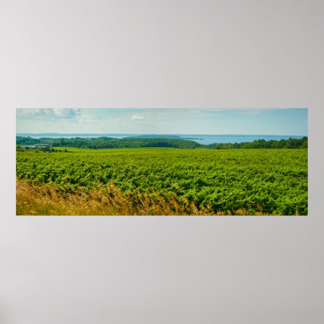 Póster Península de Misión Antigua, Michigan (Frente)