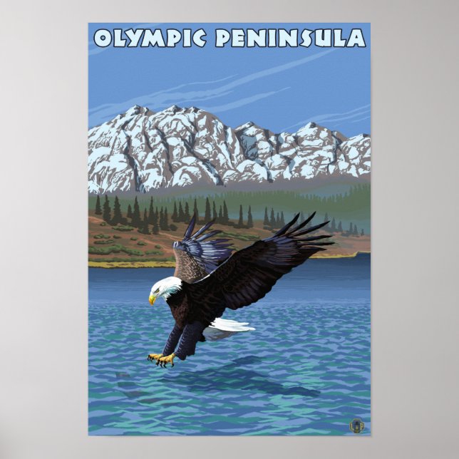 Póster Península olímpica, águila de pesca en Washington (Frente)