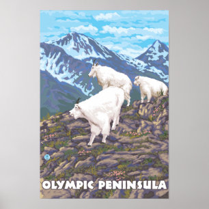 Póster Península olímpica, cabras de WashingtonMountain