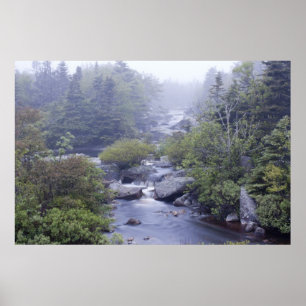 Póster Pennant Brook In The Fog fine art print