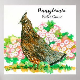 Póster Pennsylvania Ruffed Grouse Laurel