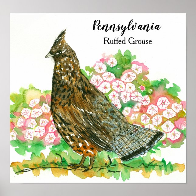 Póster Pennsylvania Ruffed Grouse Laurel (Frente)