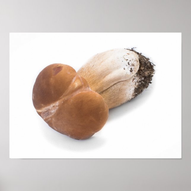 Póster Penny bun (Frente)