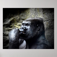 Pensamiento del gorila de la montaña Silverback