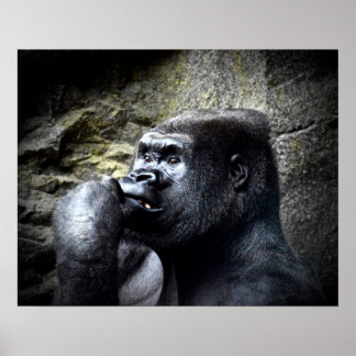 Póster Pensamiento del gorila de la montaña Silverback