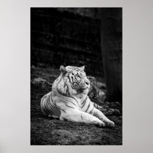 PÓSTER PENSAMIENTO MÁS GRANDE