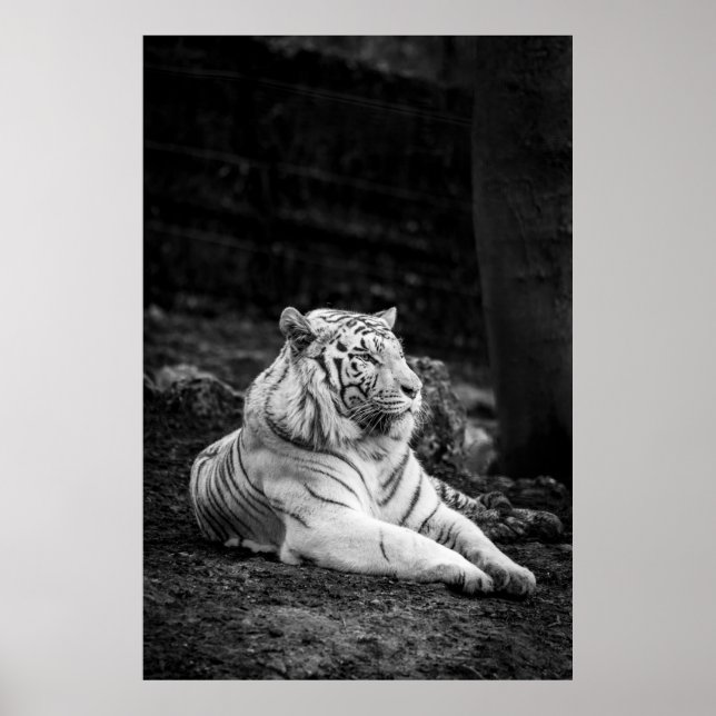 PÓSTER PENSAMIENTO MÁS GRANDE (Frente)