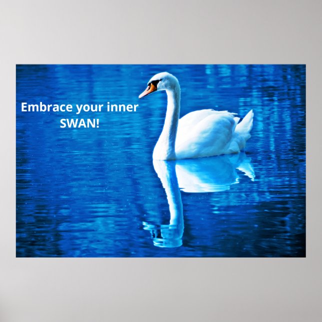 Póster Pensamiento motivacional Reflexión de cisne azul y (Frente)