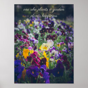 Póster Pensamientos coloridos en flor en el jardín campes