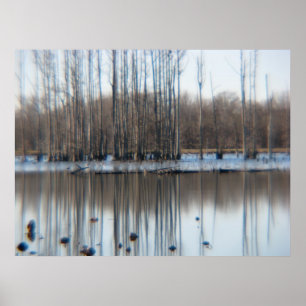 Póster Pensamientos sobre la reflexión