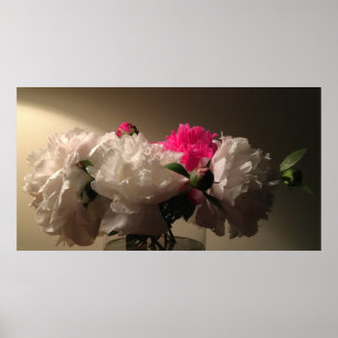 Póster Peonies,