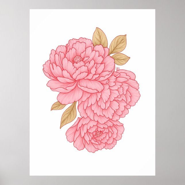 Póster Peonies Elegantes - Ilustracion floral rosa suave (Frente)