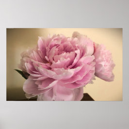 Póster Peony,