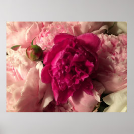 Póster Peony,
