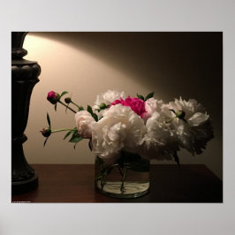 Póster Peony,