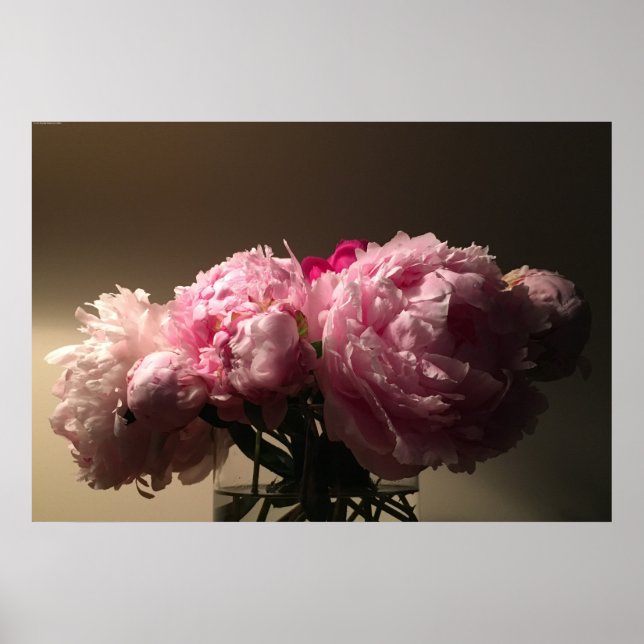 Póster Peony, (Frente)