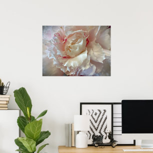 Póster Peony,