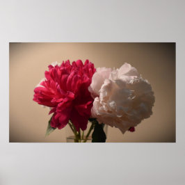Póster Peony,