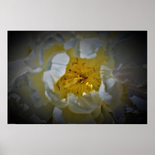 Póster Peony,