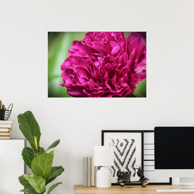 Póster Peony, (Oficina en casa)