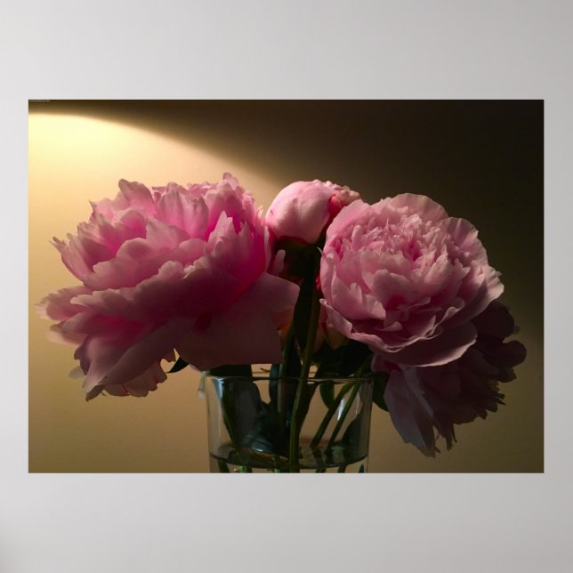 Póster Peony, (Frente)