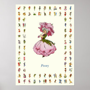 Póster Peony
