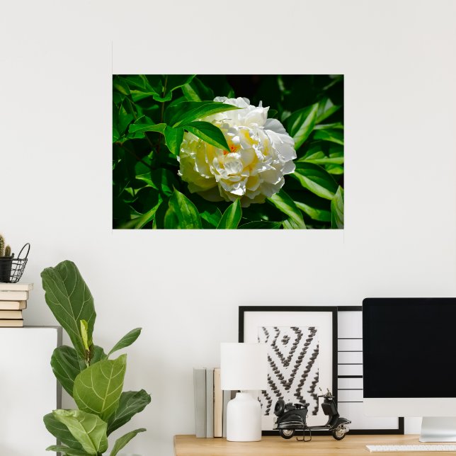 Póster Peony, (Oficina en casa)