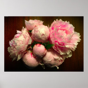 Póster Peony,