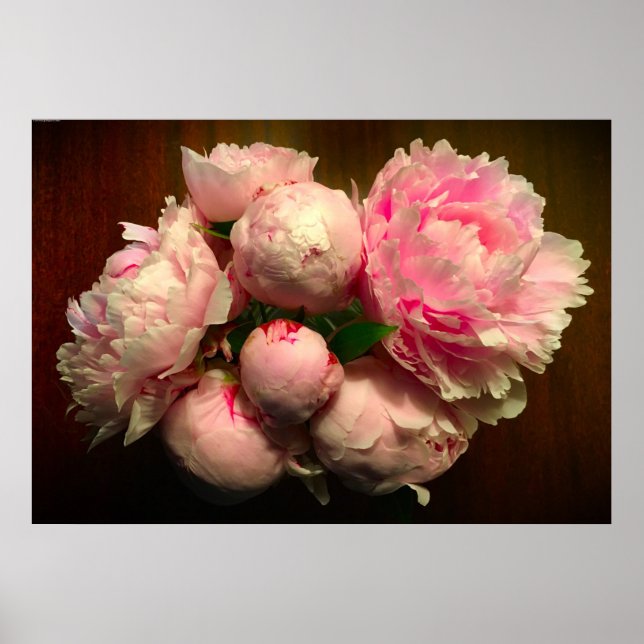 Póster Peony, (Frente)