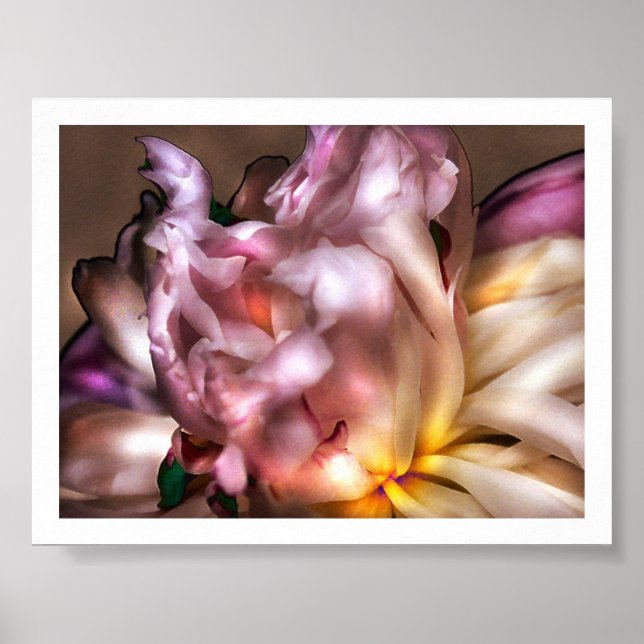 Póster Peony (Frente)