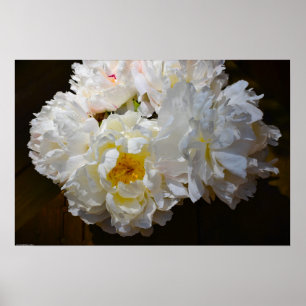 Póster Peony,