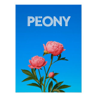 Póster Peony