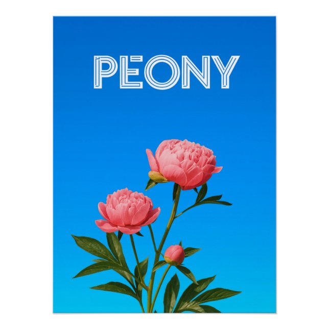 Póster Peony (Anverso)