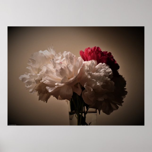 Póster Peony, (Frente)