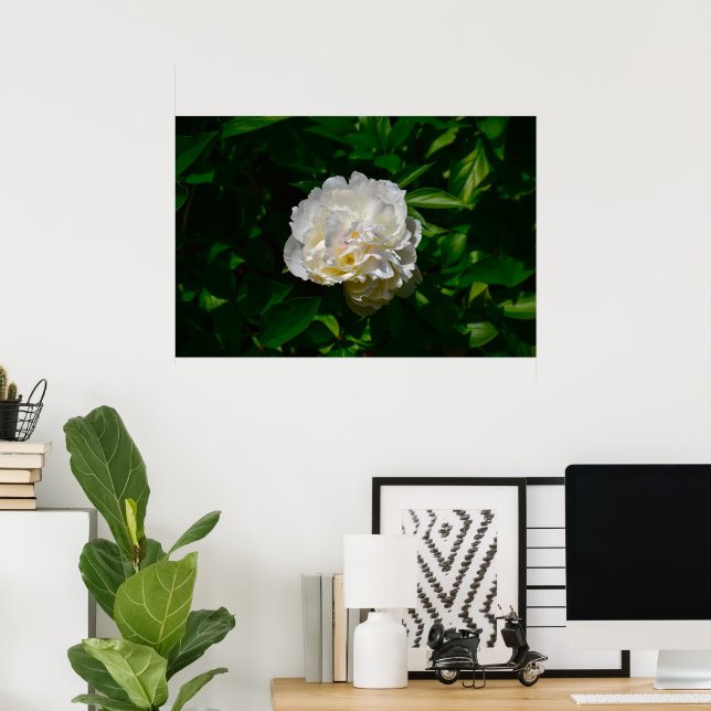 Póster Peony, (Oficina en casa)