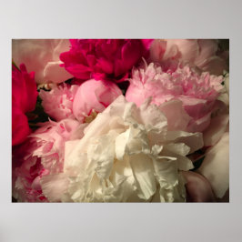 Póster Peony,