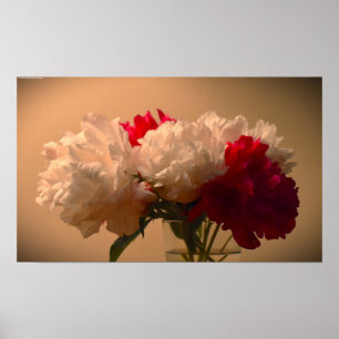 Póster Peony,