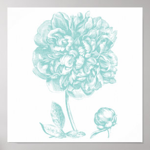 Póster Peony Blue Green