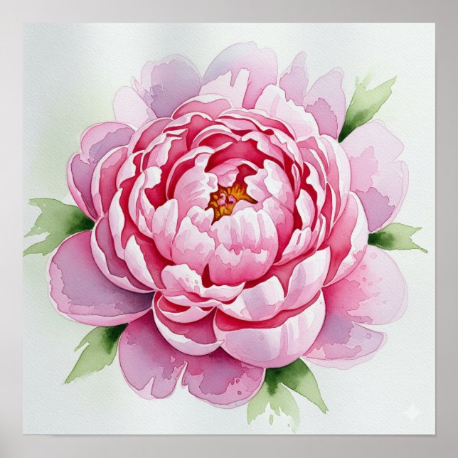 Póster Peony de acuarela (Frente)