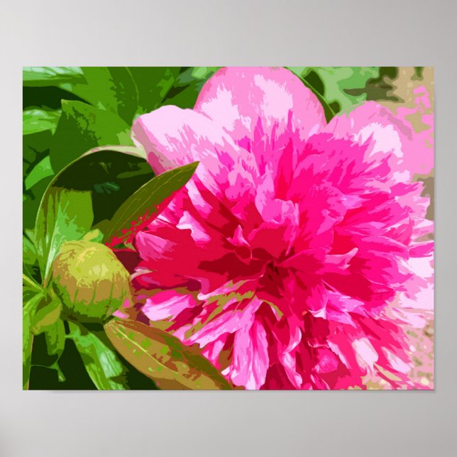 Póster Peony Pink Flower (Frente)