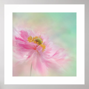 Póster Peony Poster